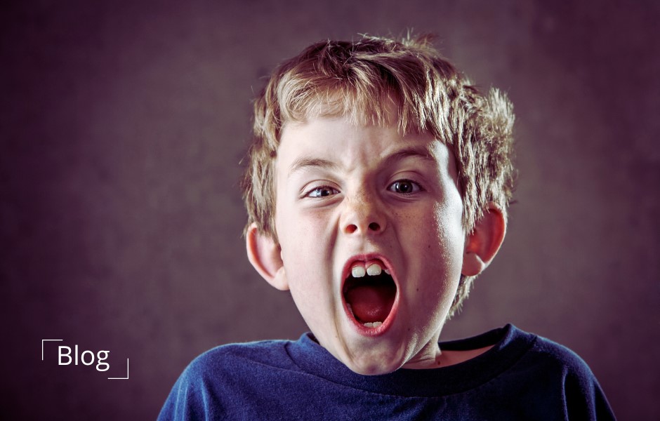 Autism Aggression and Anger: Decoding the Complexity